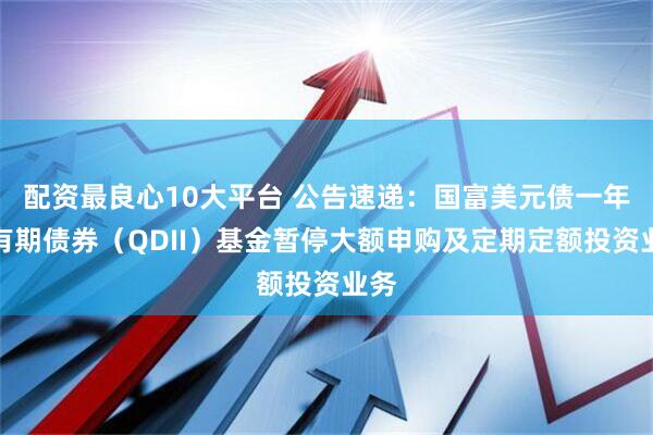 配资最良心10大平台 公告速递：国富美元债一年持有期债券（QDII）基金暂停大额申购及定期定额投资业务