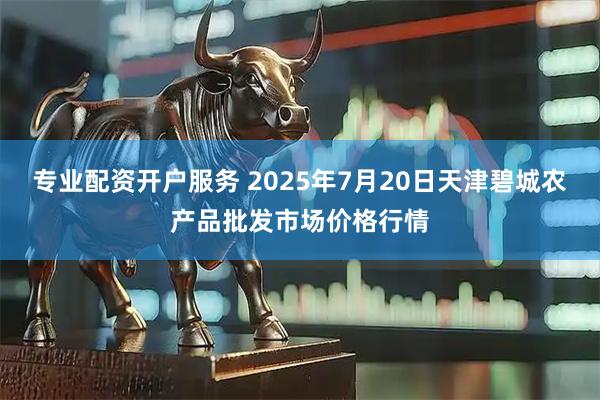 专业配资开户服务 2025年7月20日天津碧城农产品批发市场价格行情