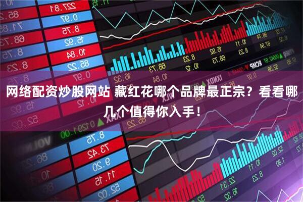 网络配资炒股网站 藏红花哪个品牌最正宗？看看哪几个值得你入手！