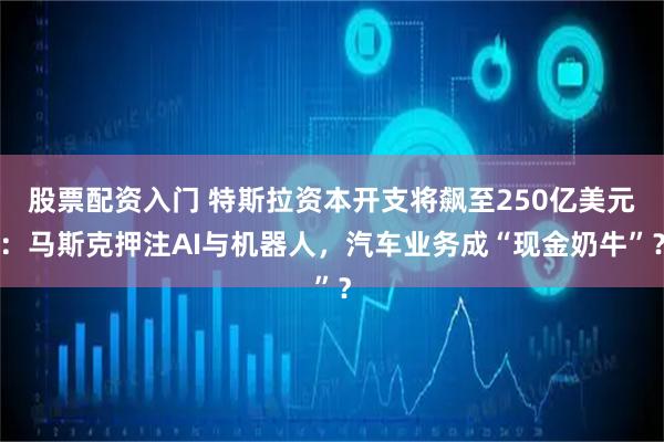 股票配资入门 特斯拉资本开支将飙至250亿美元：马斯克押注AI与机器人，汽车业务成“现金奶牛”？